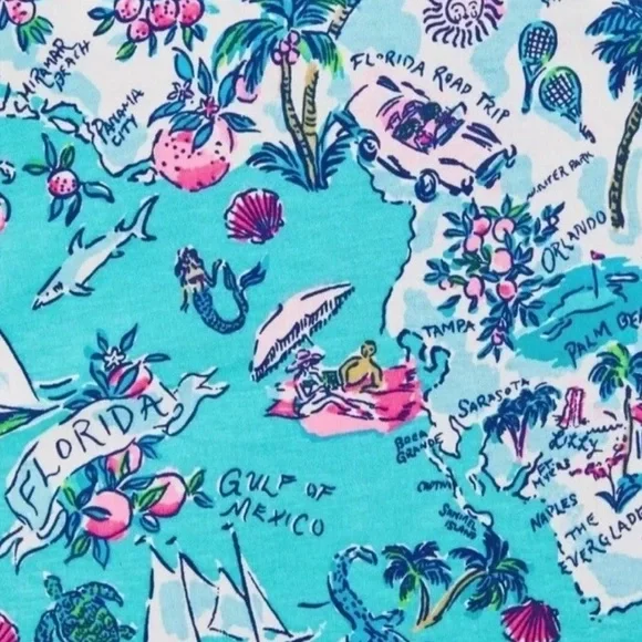 Lilly Pulitzer Newberri Florida Tank Amalfi Blue Roadtrip Sleeveless Dress - Picture 5 of 9